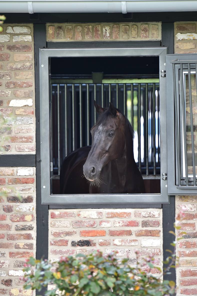 Pferdebox mit Fenster 